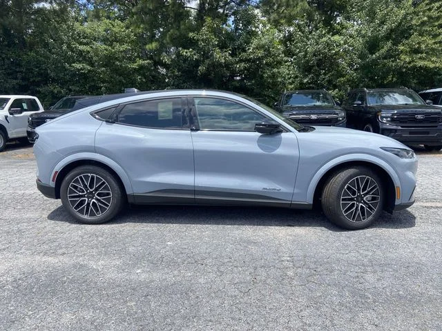 New 2026 Gray Ford Premium image 2