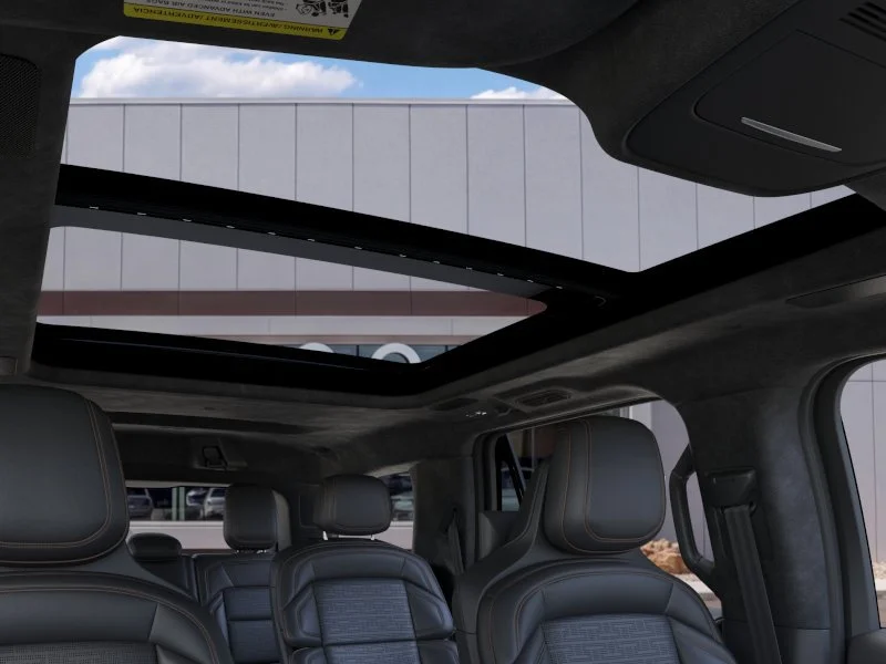 New 2026 Starlight Gray Premium Colorant Lincoln Black Label image 22