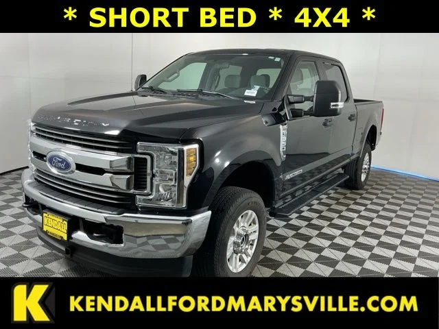 Used 2019 Black Ford XL image 1
