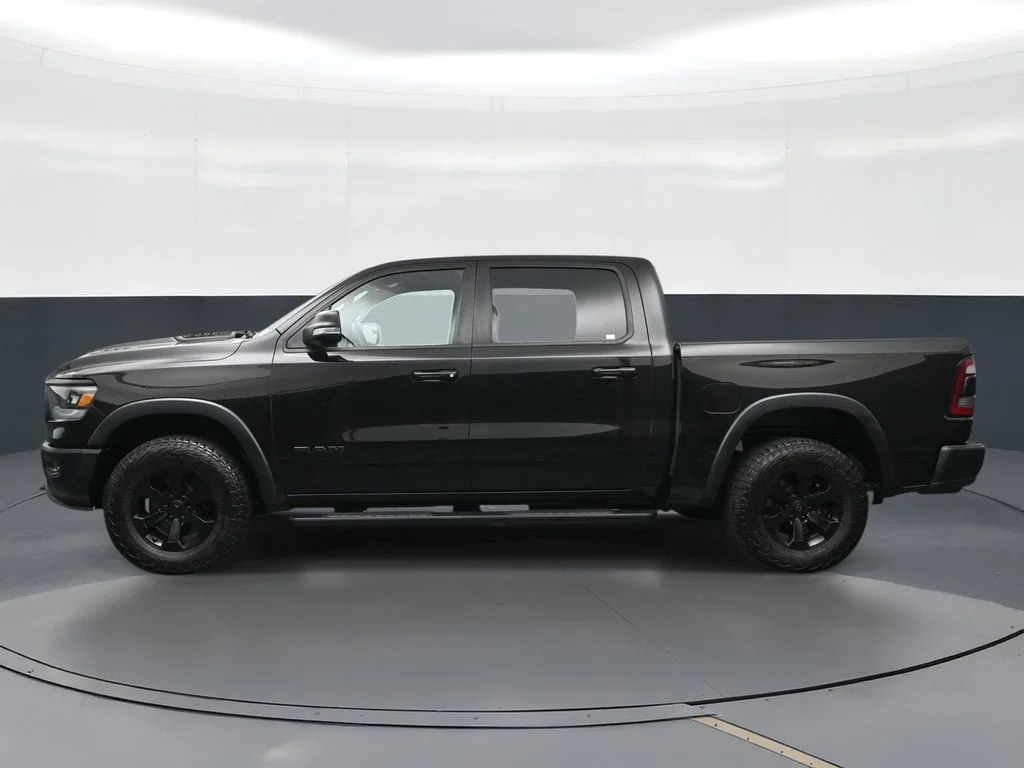 Used 2019 Black Ram Rebel image 5