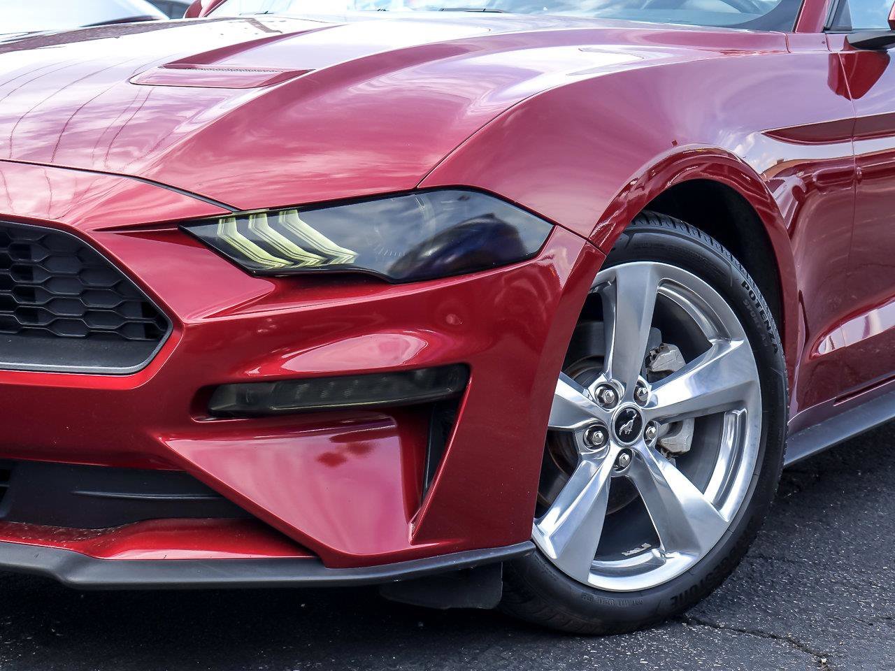 Used 2019 Ruby Red Metallic Tinted Clearcoat Ford EcoBoost Premium image 4
