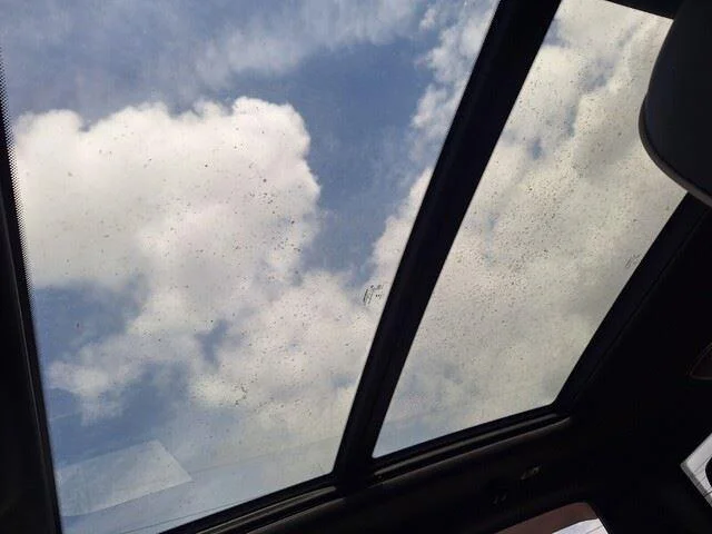 View 5