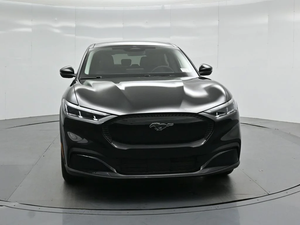 New 2026 Shadow Black Ford Select image 22