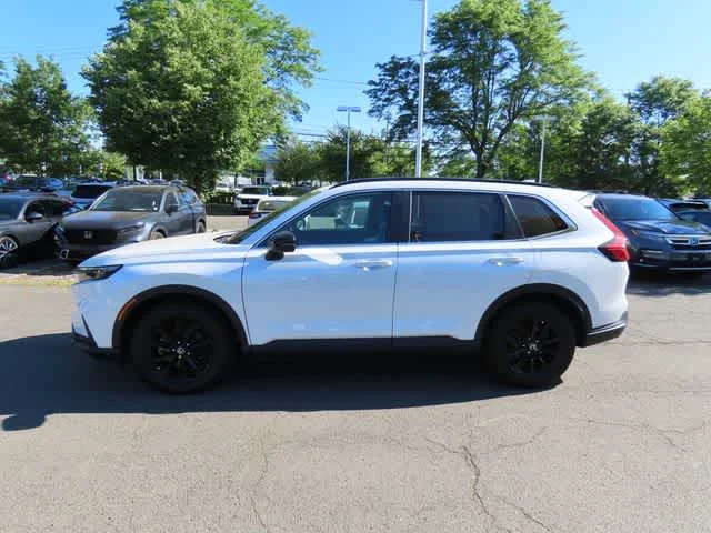 Used 2024 Platinum White Pearl Honda Sport-L image 3