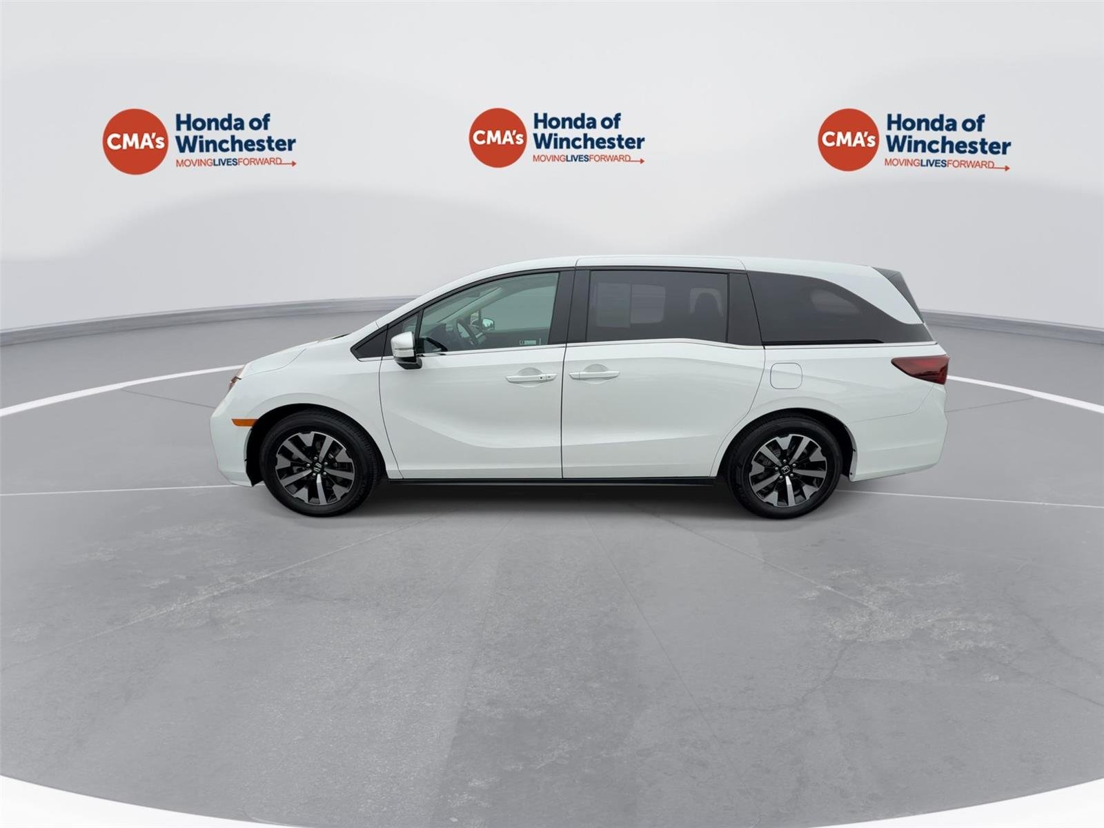 Used 2026 Platinum White Pearl Honda EX-L image 5