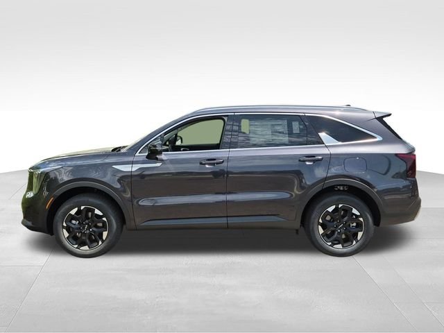 New 2026 Panthera Metal Kia S image 7
