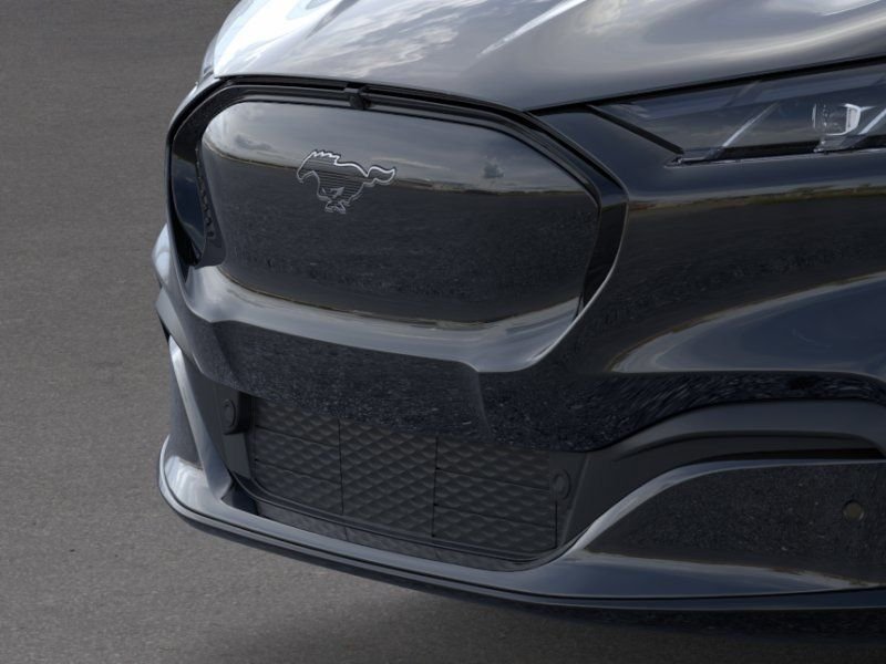 New 2025 Shadow Black Ford Premium image 17