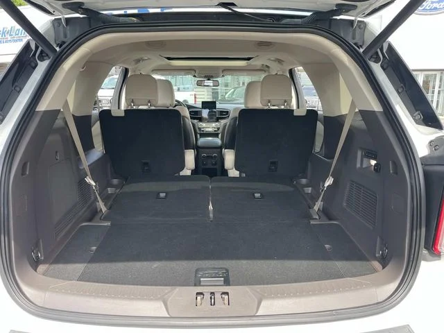 Used 2020 White Ford Platinum image 8