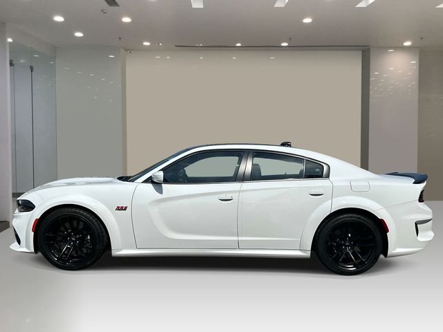 2C3CDXGJ8MH569404