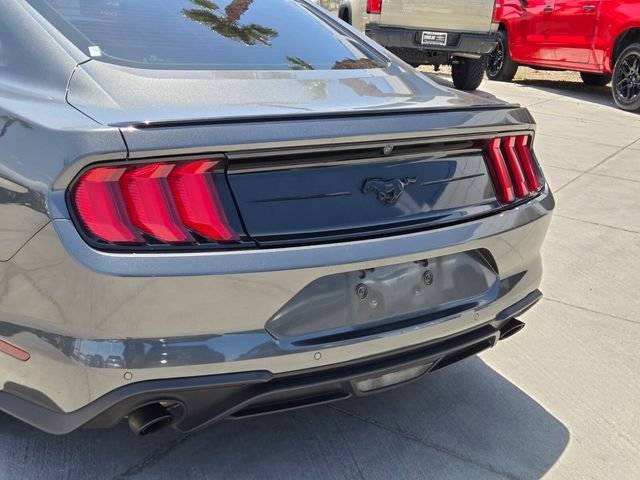 Used 2020 Gray Ford EcoBoost Fastback image 5