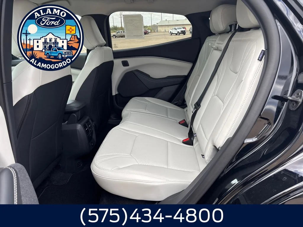 New 2026 Shadow Black Ford Premium image 18