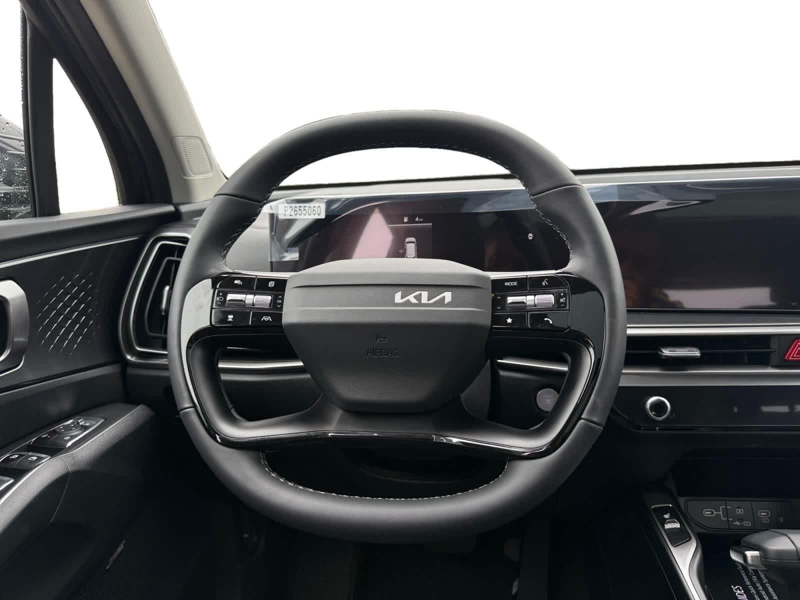 New 2026 Panthera Metal Kia EX image 13