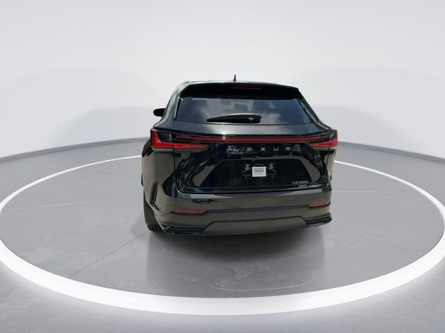 2024 Lexus NX 350 - Photo 6