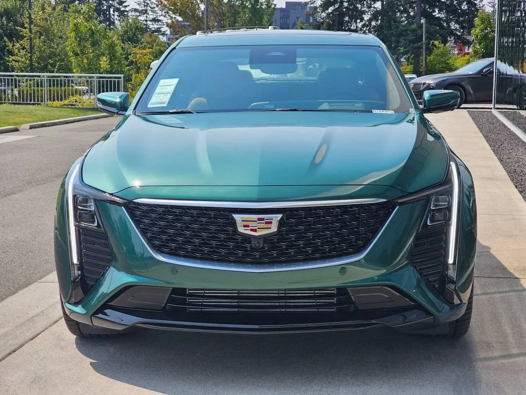 New 2026 Typhoon Metallic Cadillac Premium Luxury image 8