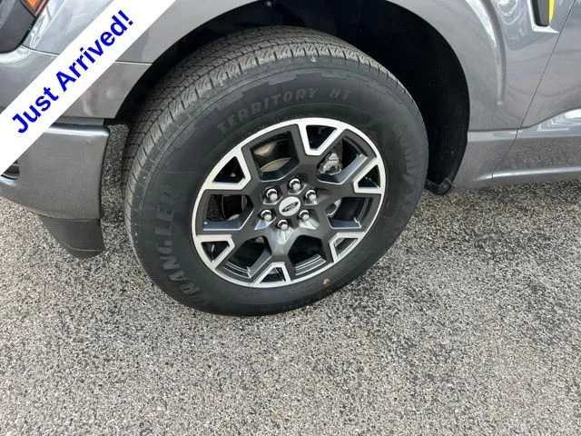 Used 2024 Gray Ford STX image 11