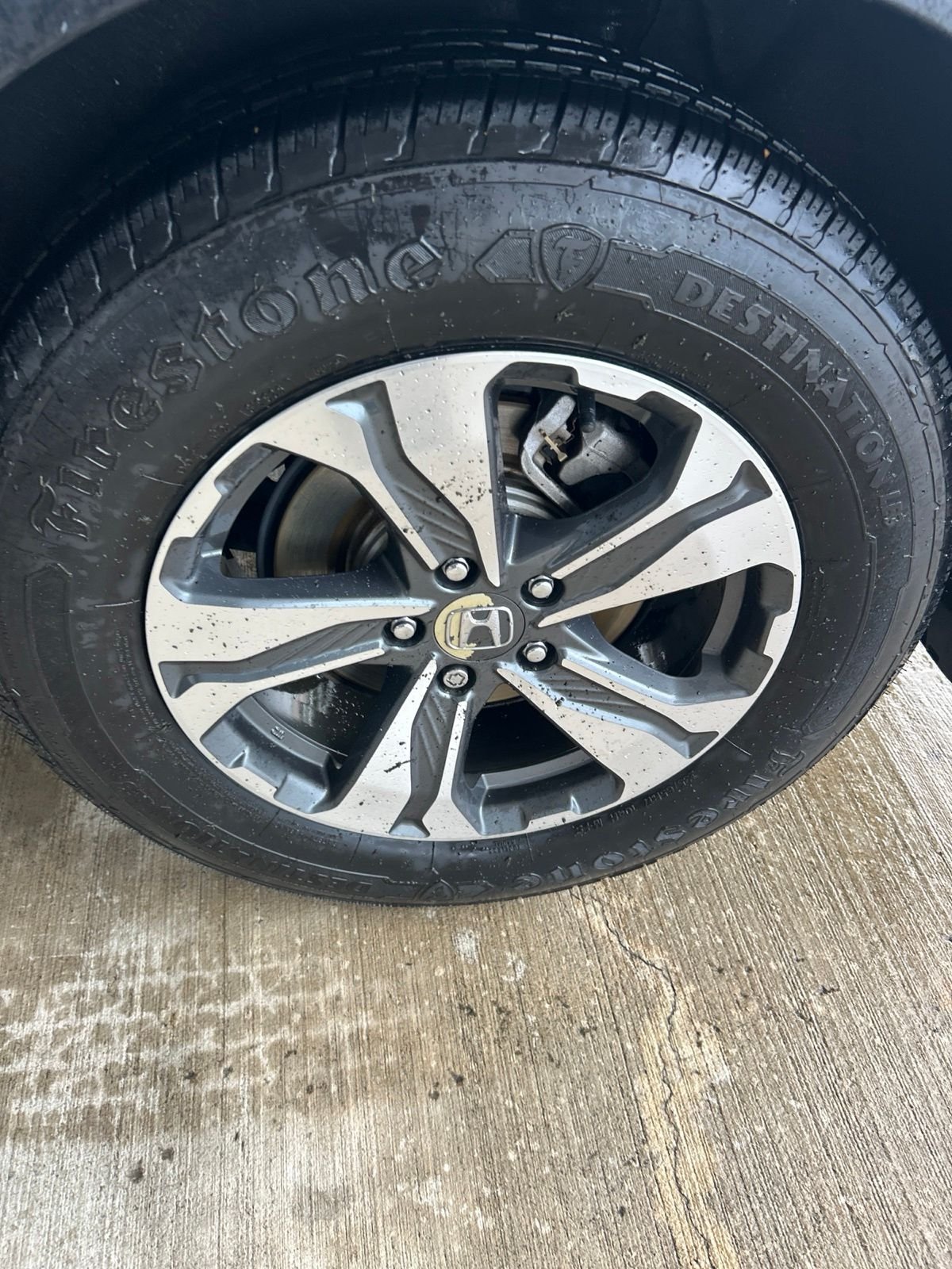 Used 2019 White Honda LX image 8