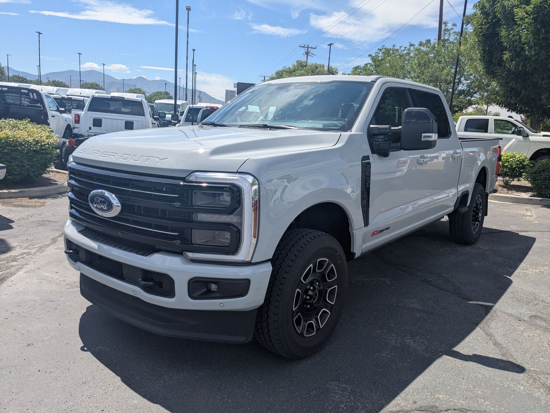 Used 2026 Blue Ford Platinum image 8