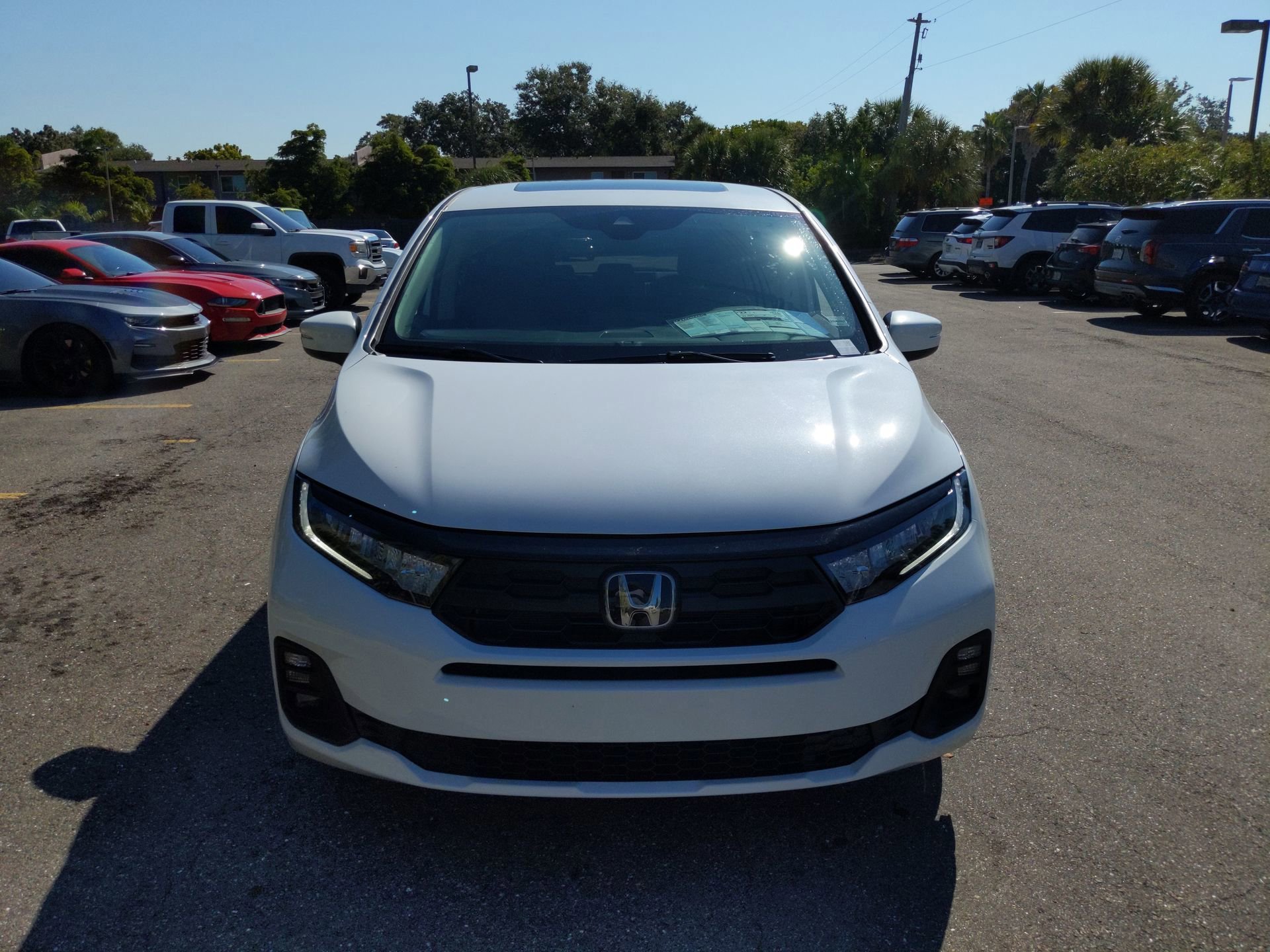 New 2026 Platinum White Pearl Honda EX-L image 4