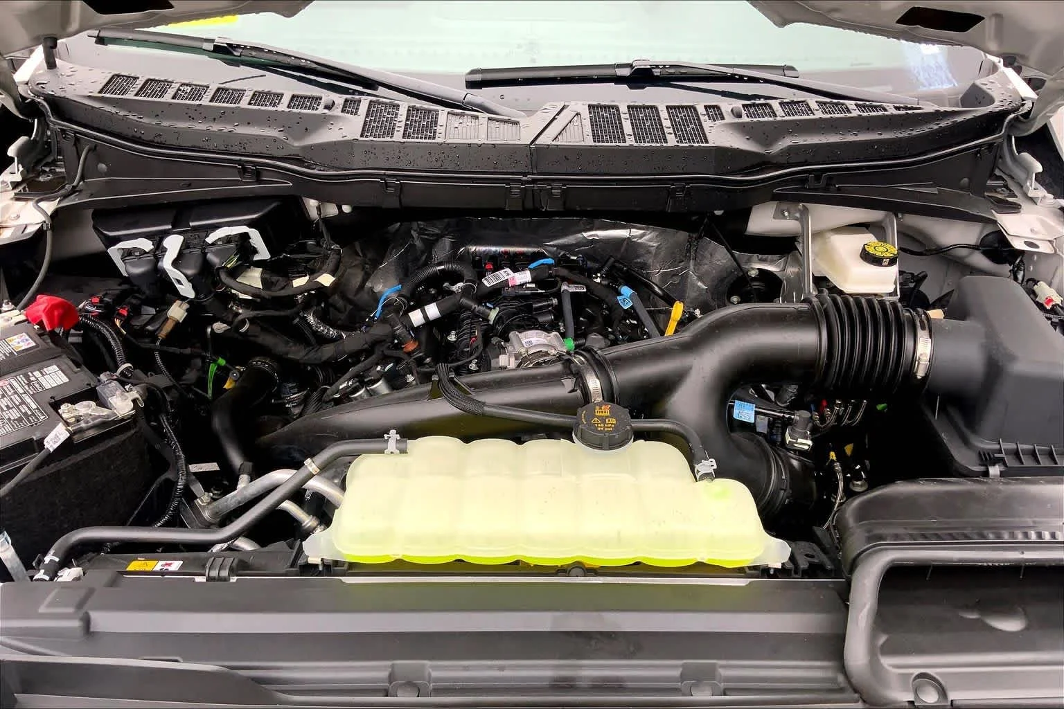 2026 Ford F-150 XLT - Photo 15
