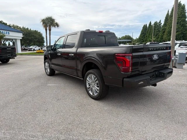 Used 2024 Brown Ford Platinum image 7