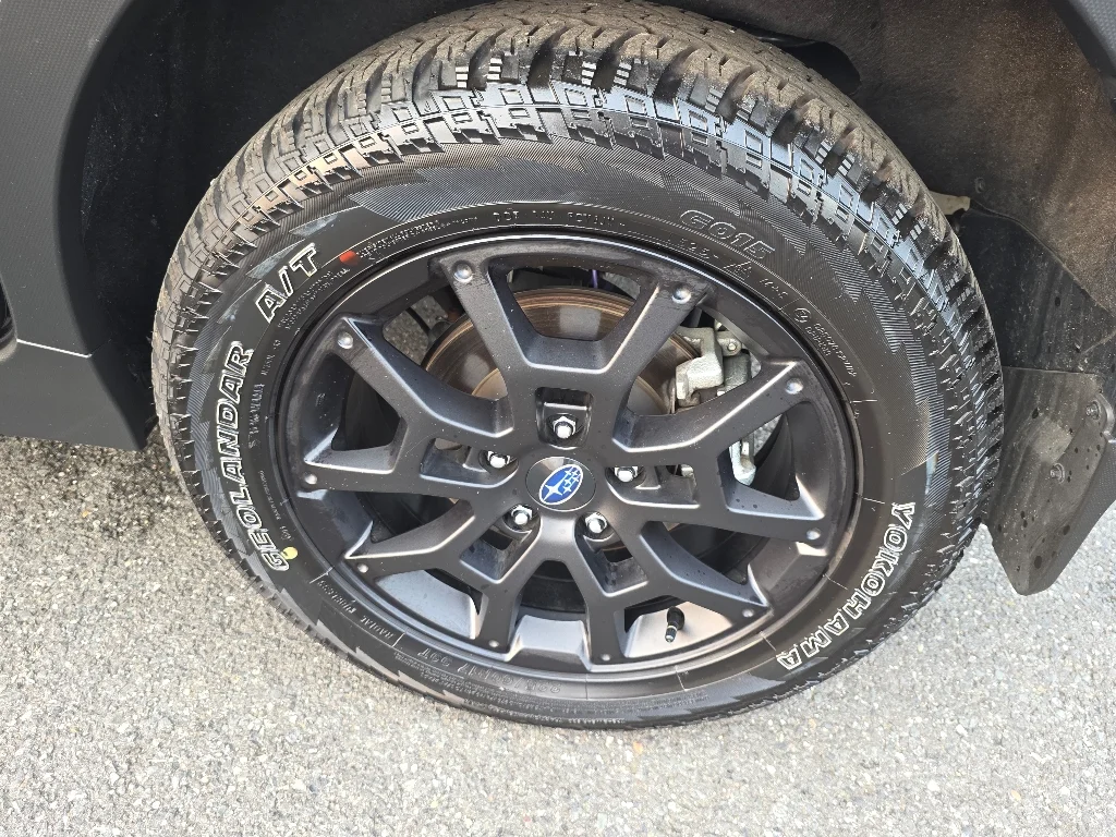 2025 Subaru Crosstrek Wilderness - Photo 29