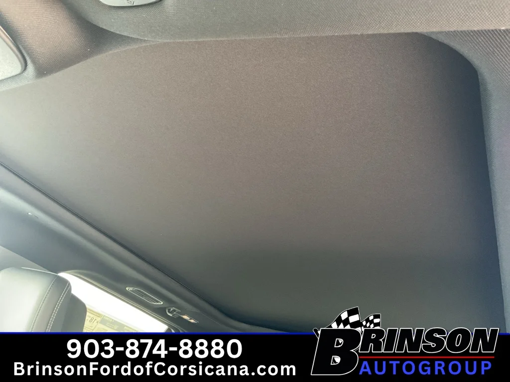 New 2027 Glacier Gray Metallic Tri-Coat Ford Platinum image 13