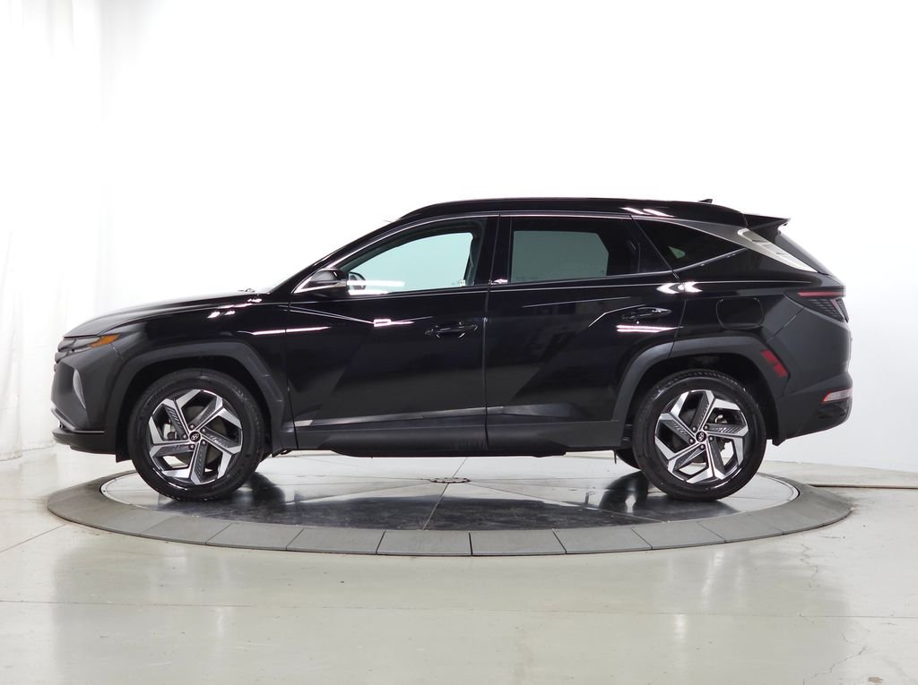 Used 2024 Black Pearl Hyundai Limited image 5