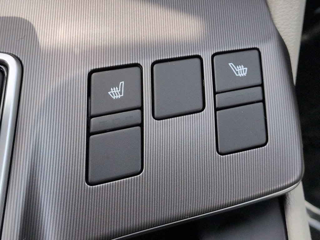 New 2026 Panthera Metal Kia EX image 27