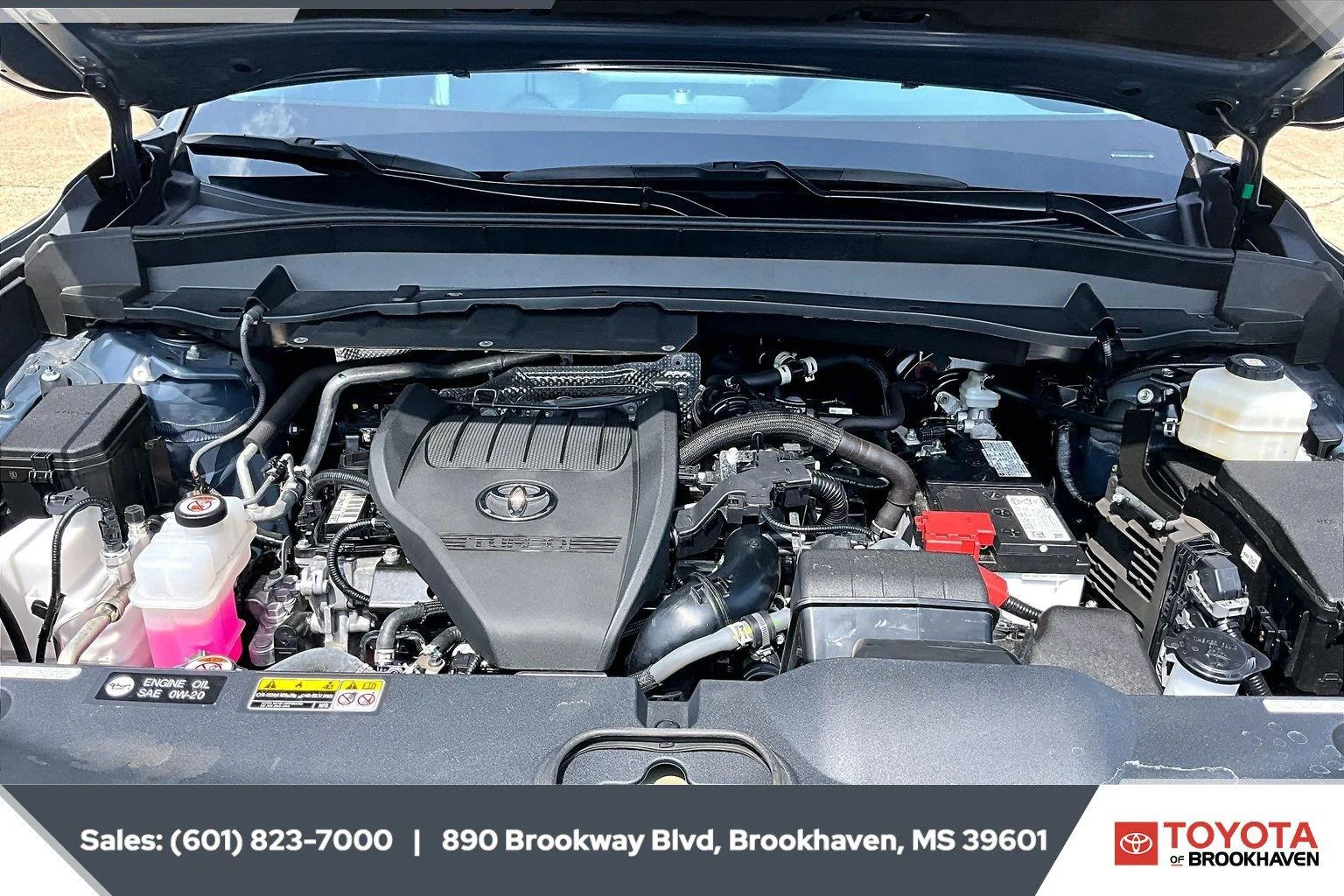 Used 2025 Storm Cloud Toyota XLE image 8