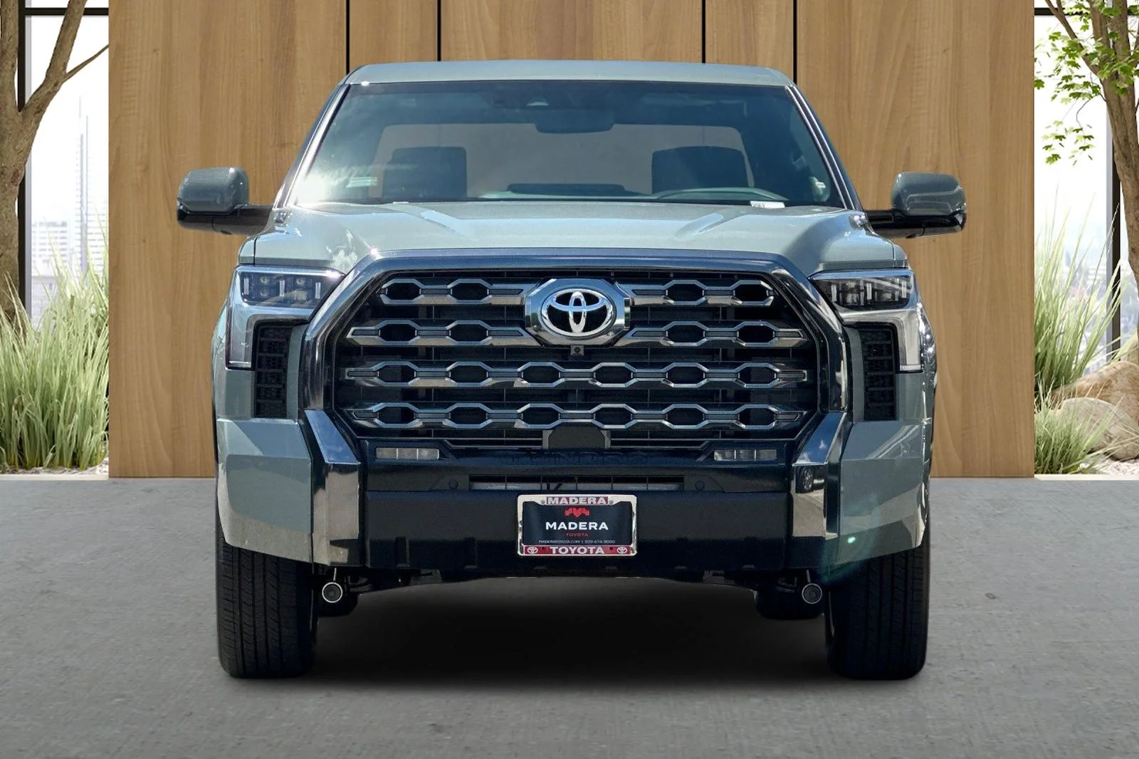 New 2026  Toyota Platinum image 9