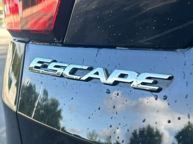 Used 2019 Black Ford Titanium image 18