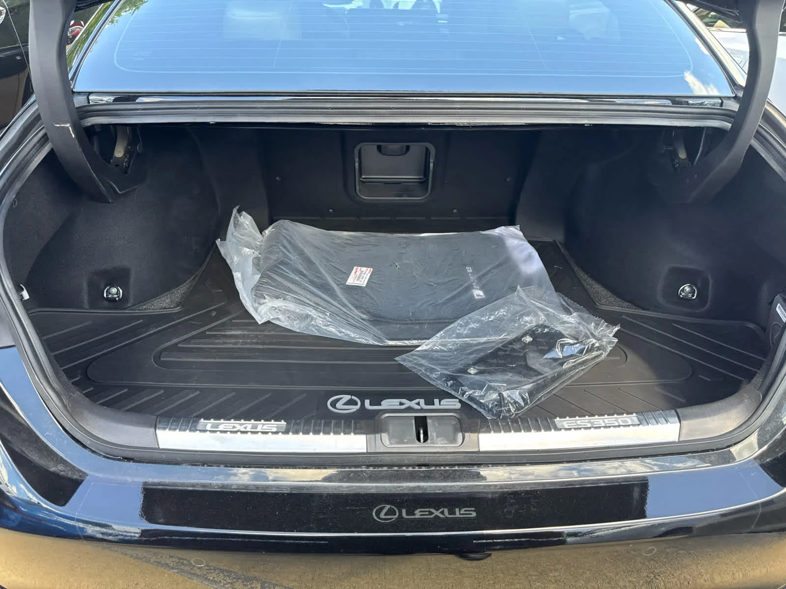 Used 2023 Obsidian Lexus F SPORT Handling image 7