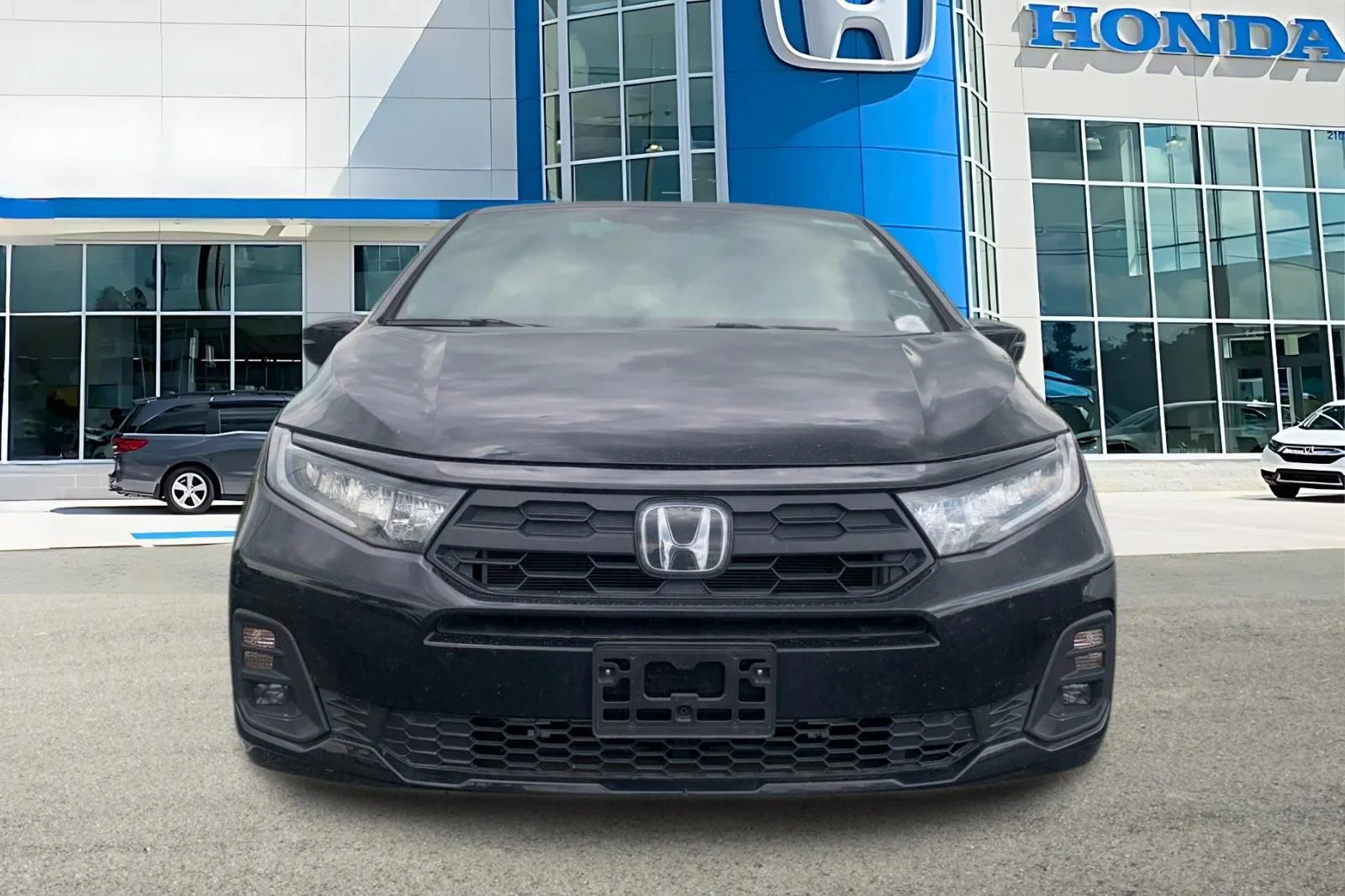 Used 2025  Honda Sport-L image 6