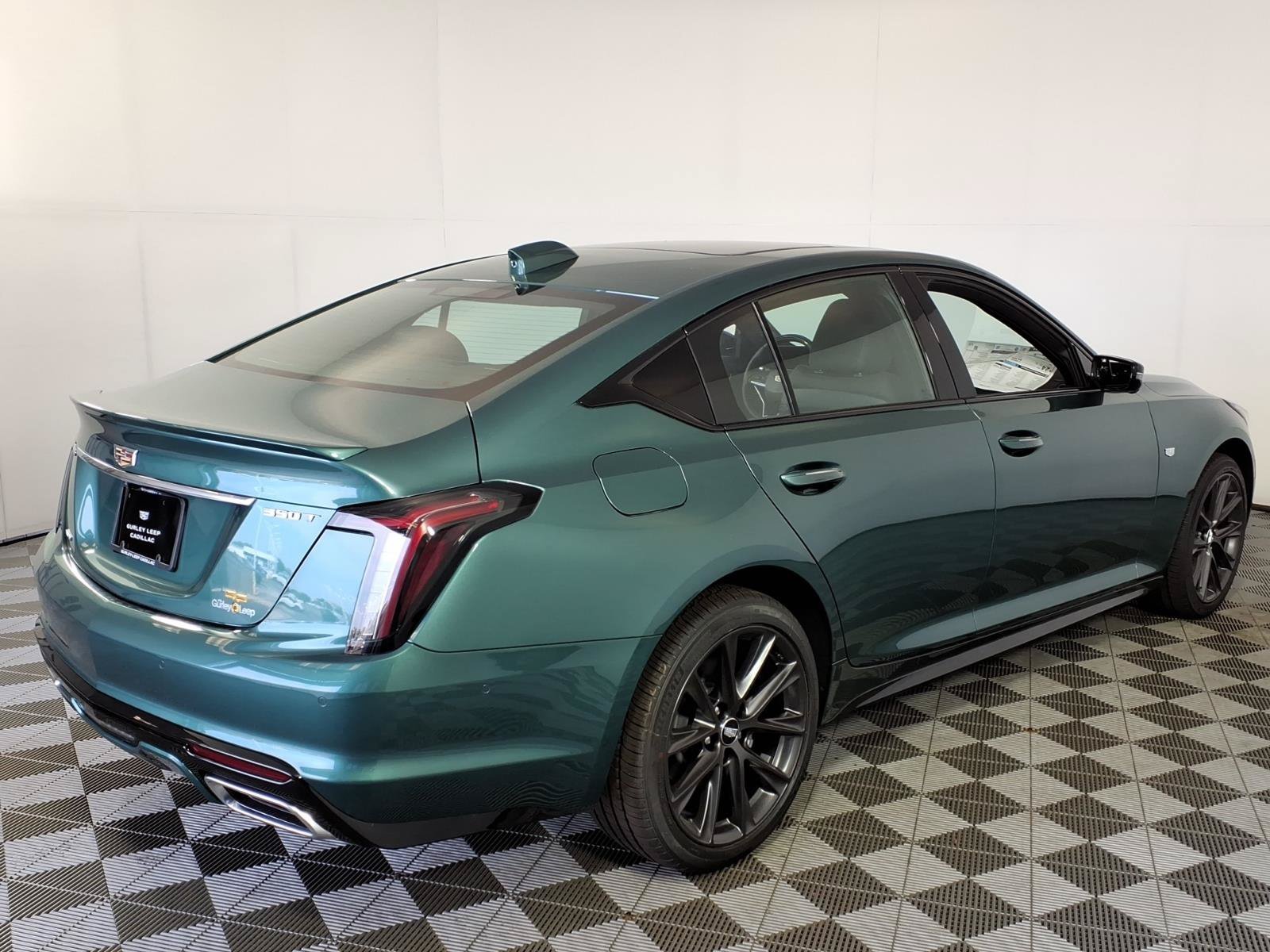 New 2026 Typhoon Metallic Cadillac Sport image 10