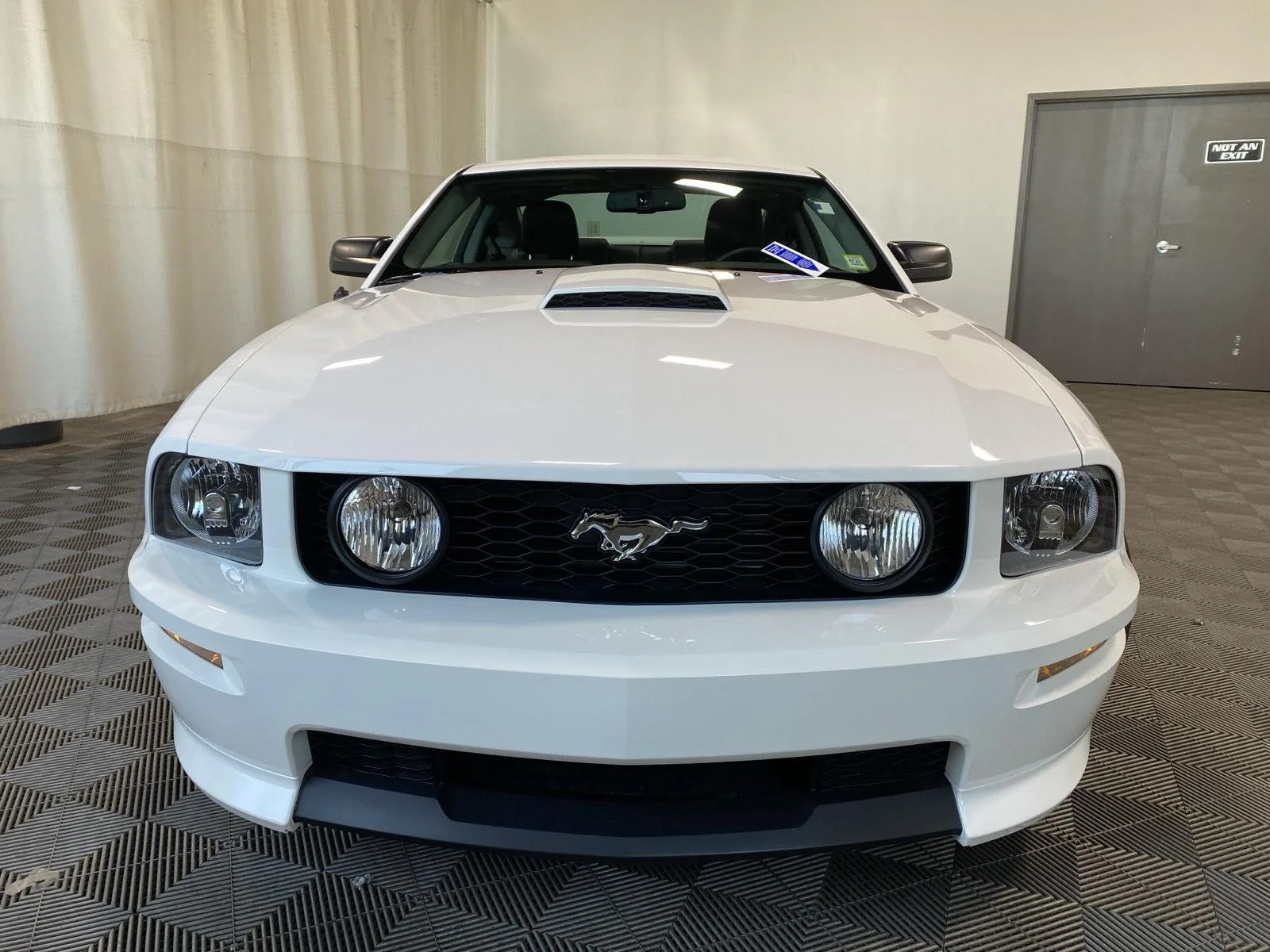 Used 2008 Performance White Clearcoat Ford GT Deluxe image 3