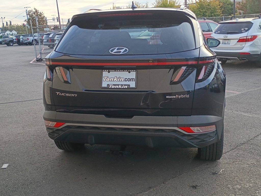 Used 2022 Blue Hyundai SEL Convenience image 6