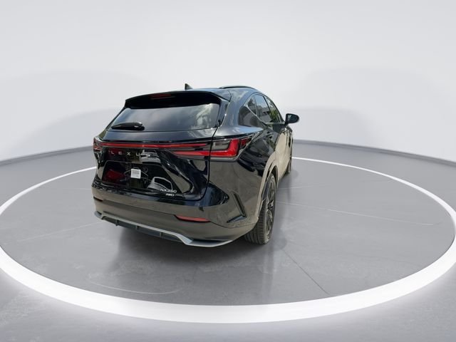 2024 Lexus NX 350 - Photo 7