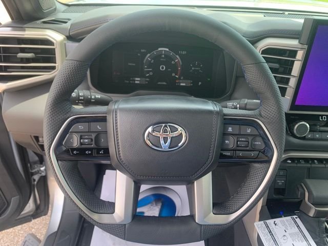 New 2026 Celestial Silver Metallic Toyota Platinum image 15