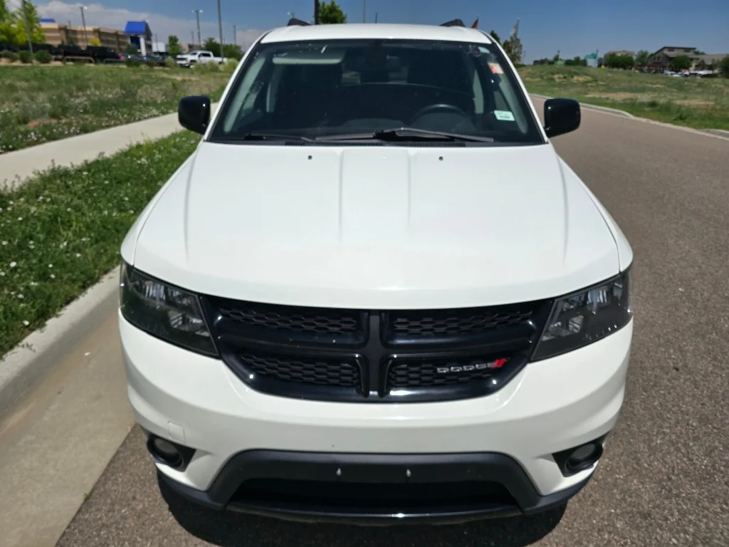 Used 2019 Vice White Dodge SE image 8