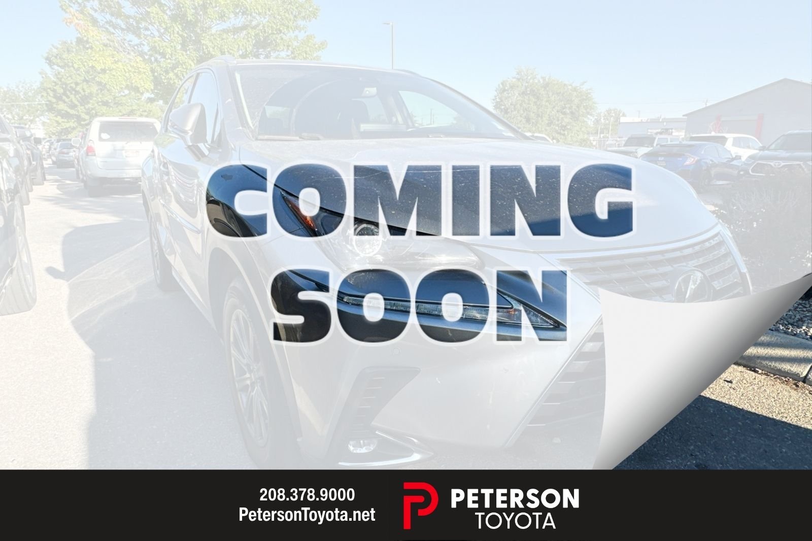 2019 Lexus NX 350 300 FWD's photo