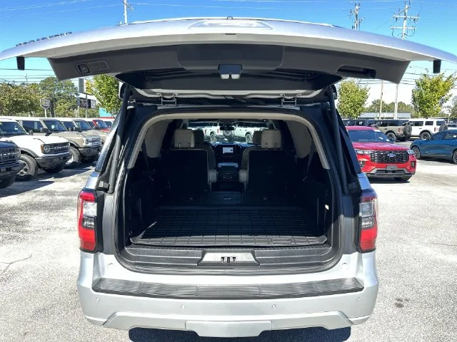Used 2018 Silver Ford Platinum image 25