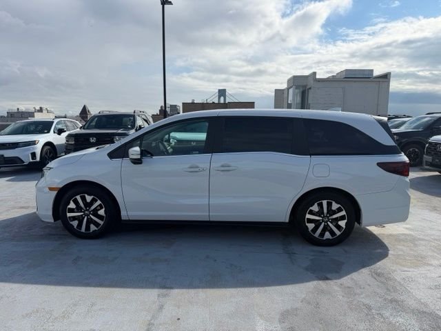 Used 2026  Honda EX-L image 4