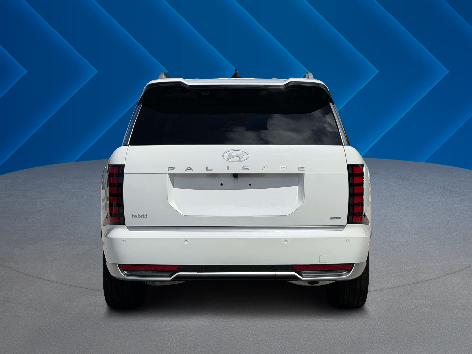 New 2027 Creamy White Pearl Hyundai Calligraphy image 20