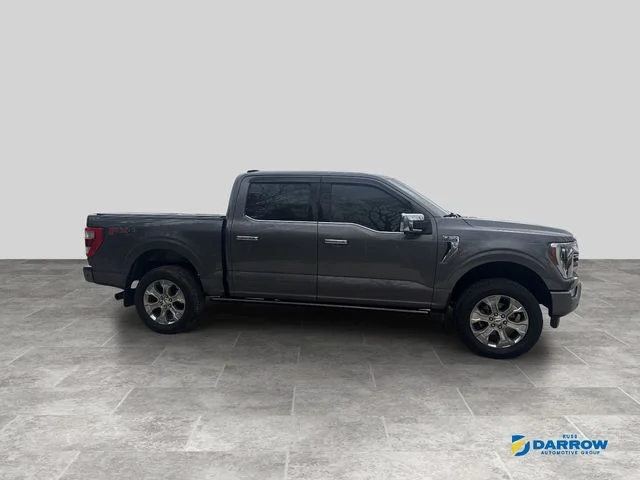 Used 2021 Gray Ford Platinum image 22