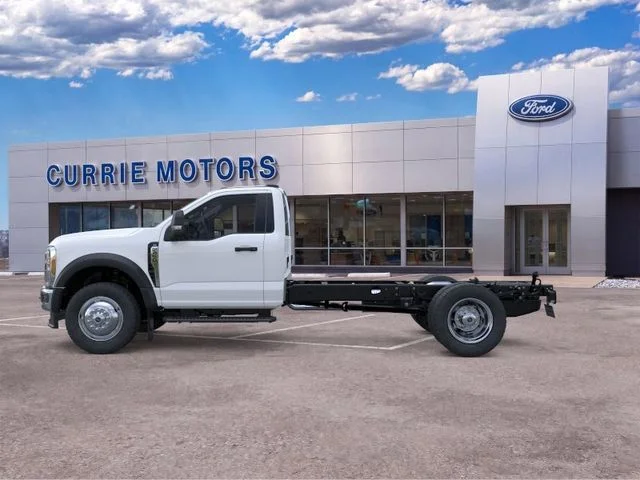 New 2026 Oxford White Ford XL image 3