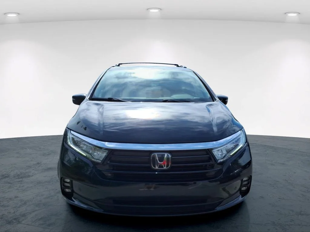 Used 2023 Black Honda Elite image 4