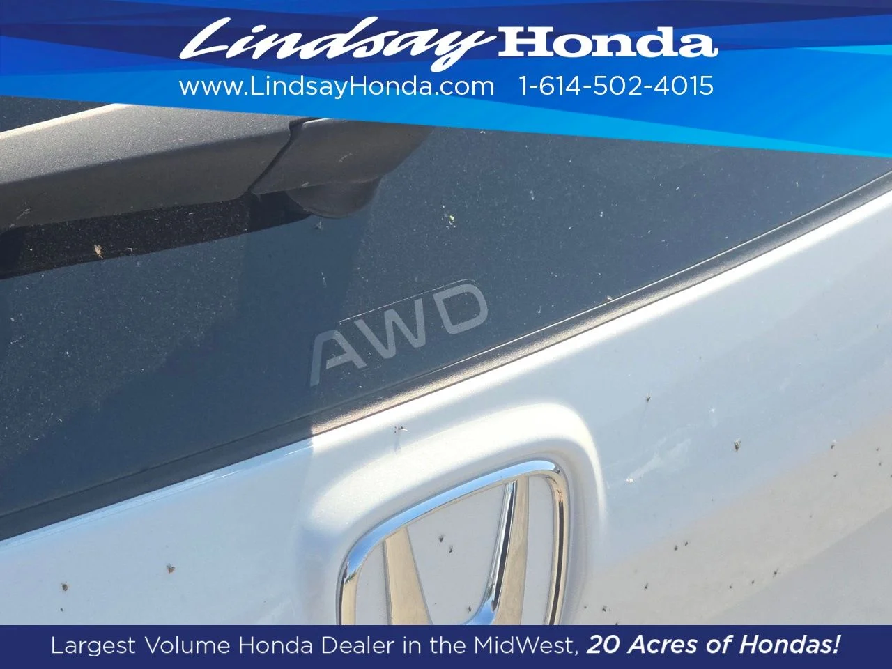 New 2026 Platinum White Pearl Honda Sport image 14