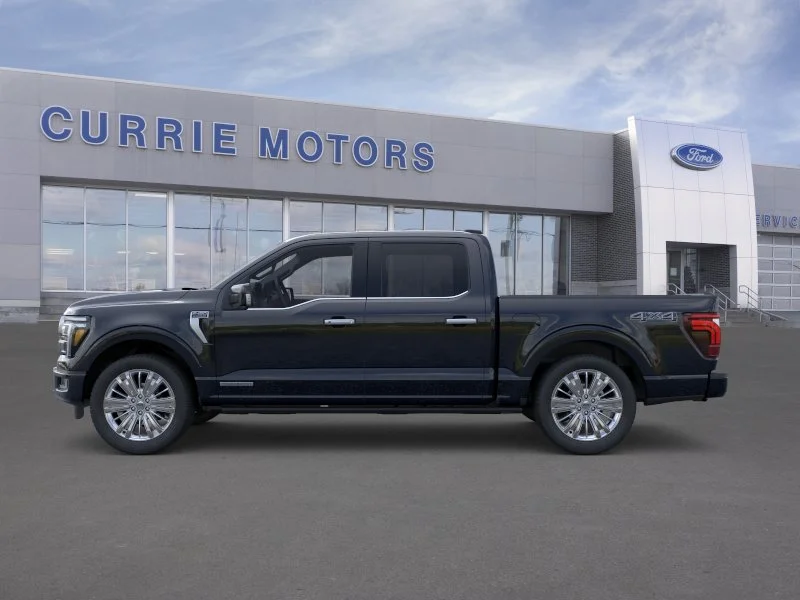 New 2026 Agate Black Metallic Ford Platinum image 3