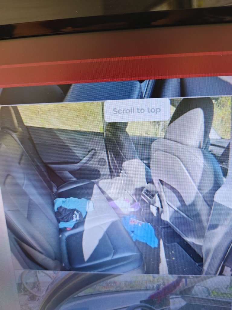 Used 2024 Black Tesla Performance image 13