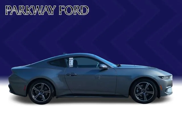 Used 2024 Gray Ford EcoBoost image 6